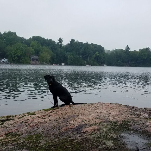 Meet your Posher, Victoria - Picture 1 of 1